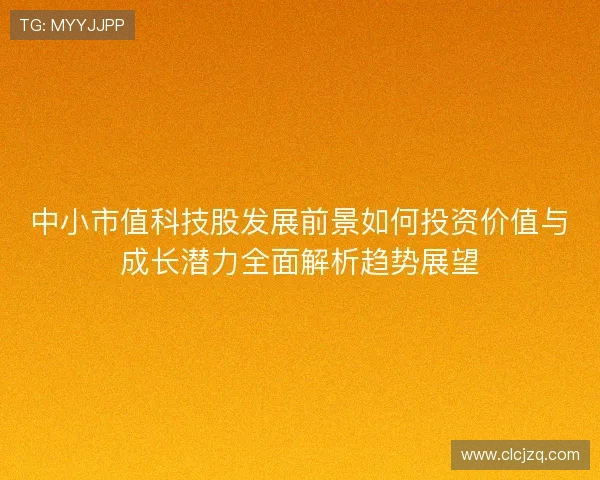 中小市值科技股发展前景如何投资价值与成长潜力全面解析趋势展望